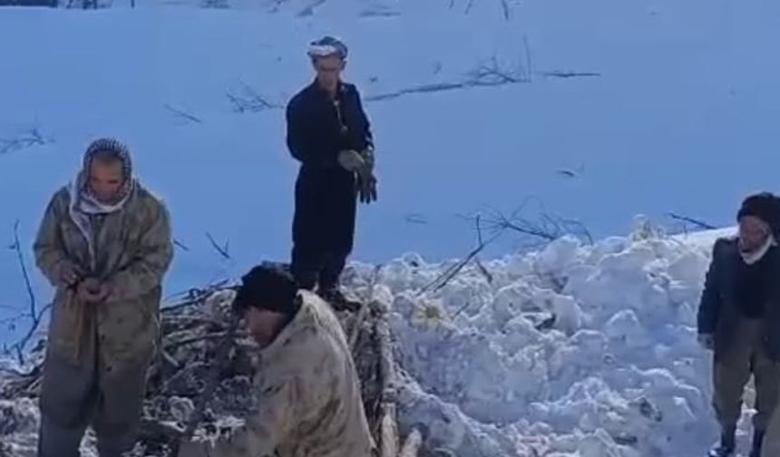 Hakkari'de çığ düştü: 8 boş ev ve 2 ahır zarar gördü, 120 küçükbaş öldü