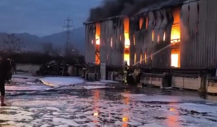 Hatay'da lastik deposunda yangın