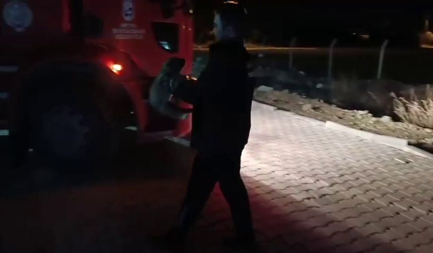 Hatay'da rögarda sıkışan yavru köpek, kurtarıldı