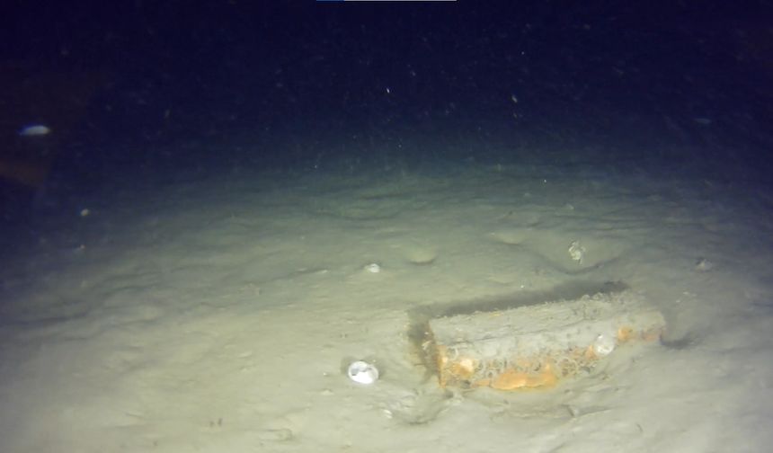 THY'nin 50 yıl önce düşen uçağının enkazından yeni parçalar bulundu