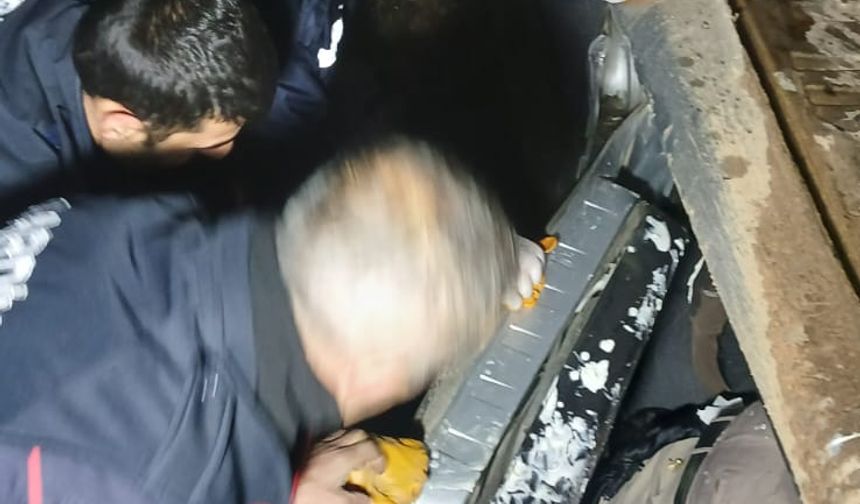Mardin'de otomobil ile hafif ticari aracın çarpıştığı kazada 3 ölü, 2 yaralı (2)