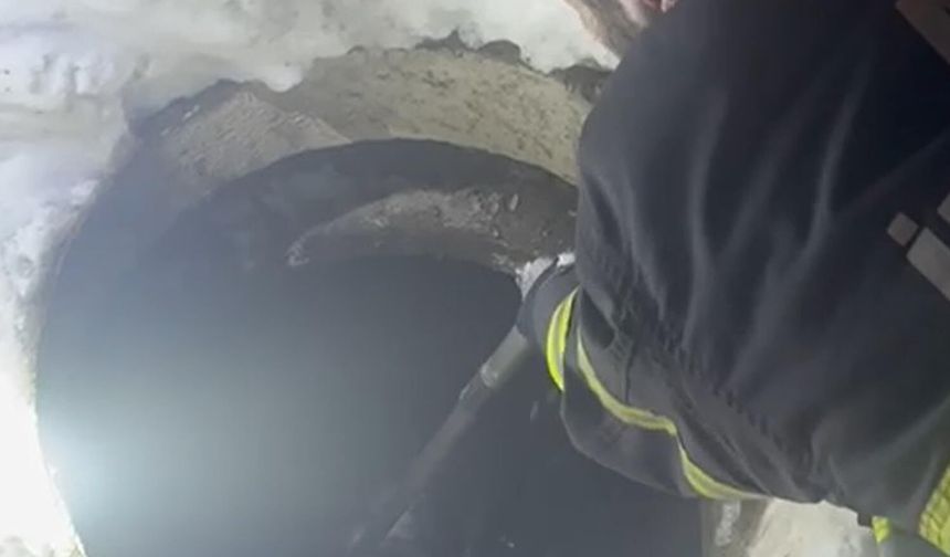 Muş'ta kuyuya düşen köpeği itfaiye kurtardı