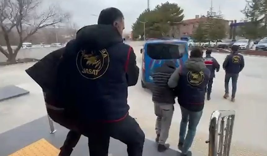 Nevşehir'de buzağı çalan 5 şüpheli tutuklandı