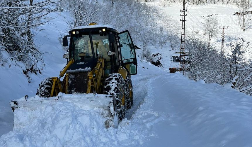 Ordu'nun yükseklerinde yoğun kar yağışı