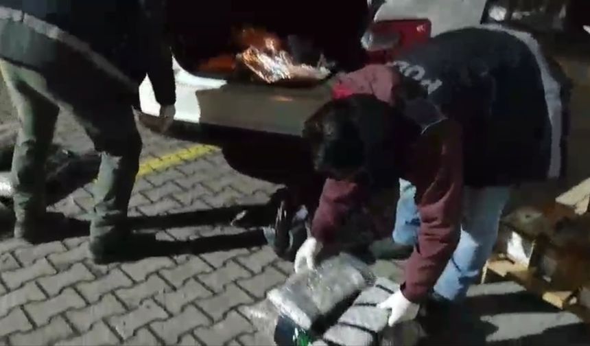Sakarya'da 5 kilo 700 gram skunk ele geçirildi
