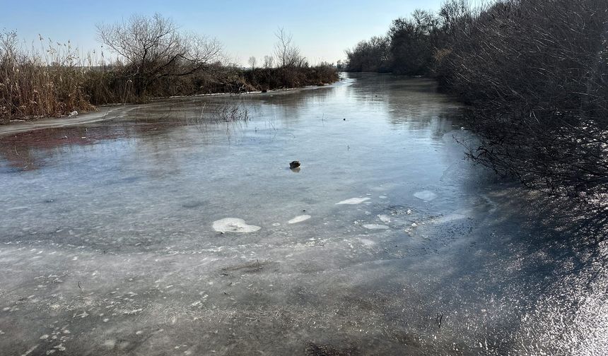 Sıcaklığın eksi 8 dereceye düştüğü Edirne'de, Tunca Nehri ve gölet buz tuttu