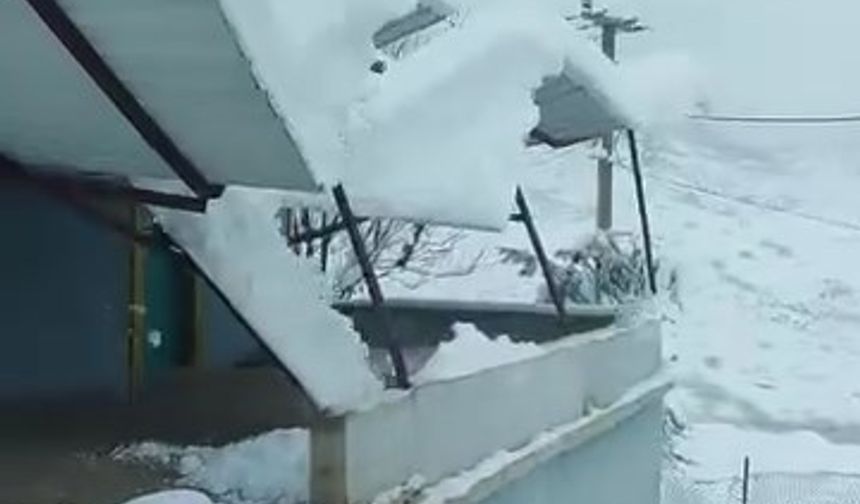 Siirt'te kar nedeniyle seralar çöktü, cami girişindeki çatı yıkıldı