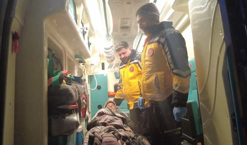 Sivas'ta kar etkili oldu (2)