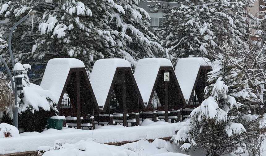 Sivas'ta kar yağışı; 945 yerleşim yeri ulaşıma kapandı / Ek fotoğraflar