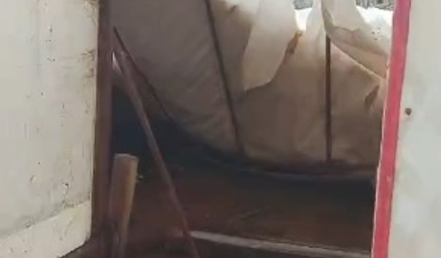 Üzerinde kar biriken çadır çöktü, 3 küçükbaş öldü