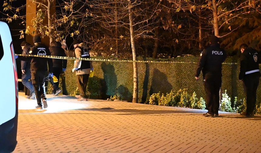 Yılbaşı kutlamasında çıkan kavgaya müdahale eden polis bıçakla yaralandı