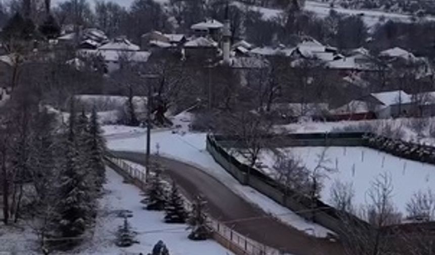 Yiyecek bulamayan yılkı atları kent merkezine indi