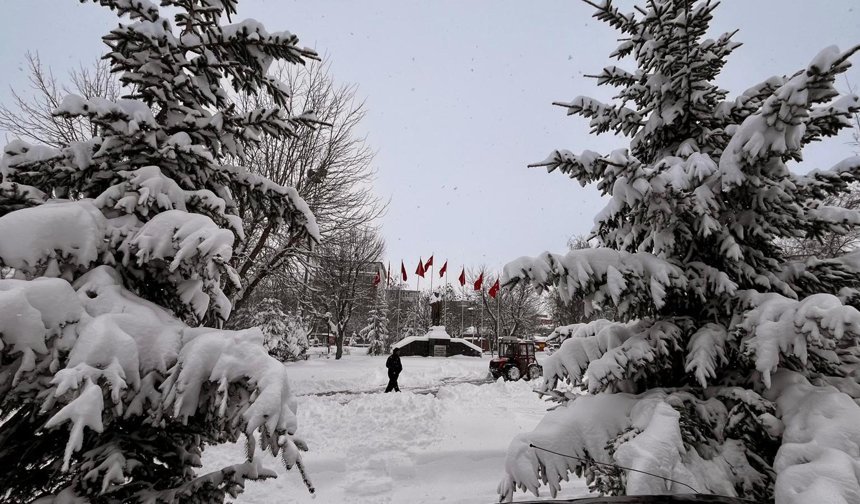 Ardahan'da 89 köy yolu kardan kapandı