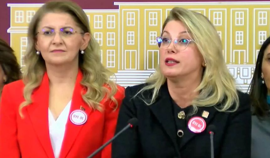 CHP'li Kaya: İktidarda olan anlayış, Cumhuriyet devrimleri ile hesaplaşma peşindedir