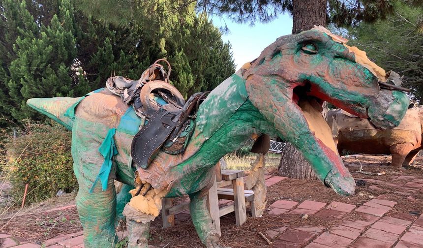 Dinozor Park'ta kuş yuvalarının parçalanmasına tepki