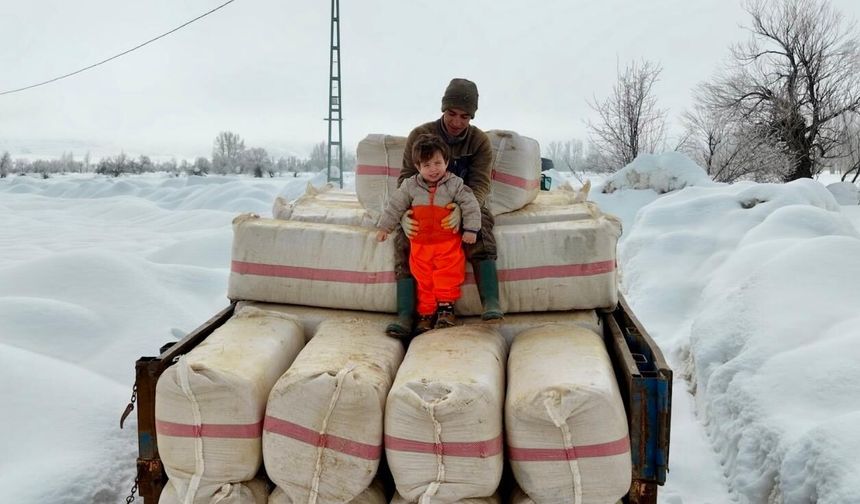 Evlenip Tunceli'ye yerleşti, köy hayatına 2 yaşındaki oğlu Güneş'i de alıştırıyor / Ek fotoğraflar
