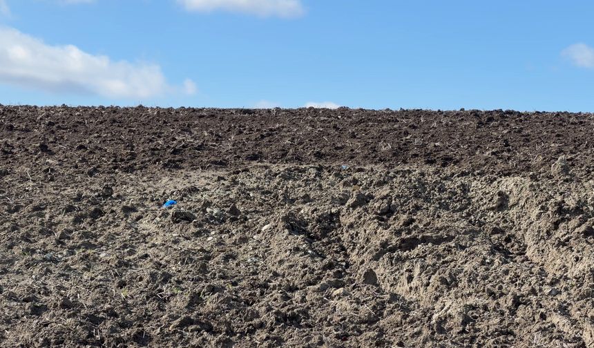 İstanbul - Çinli iş insanının cesedi elleri ve ayakları bağlı toprağa gömülü bulundu