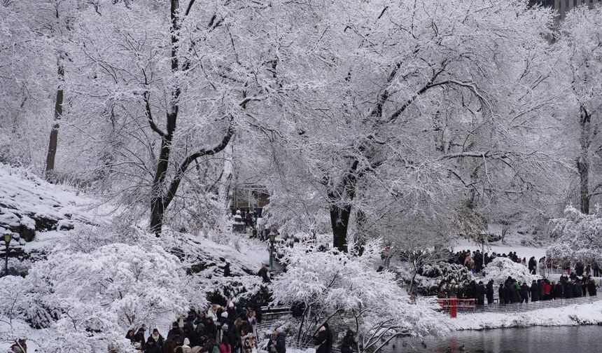 New York'ta soğuk hava nedeniyle 18 kişi hayatını kaybetti