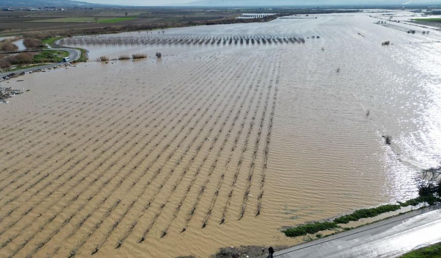 Nif Çayı taştı, Gediz Ovası su altında kaldı