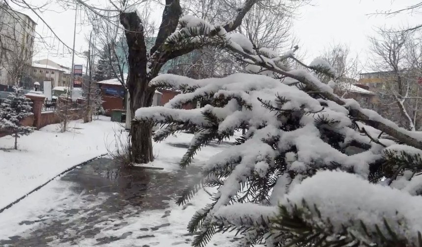 Ardahan'da kar yağışı etkili oldu