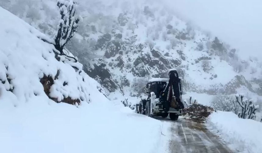 Batman'da 426 kilometrelik yol ağı kardan kapandı