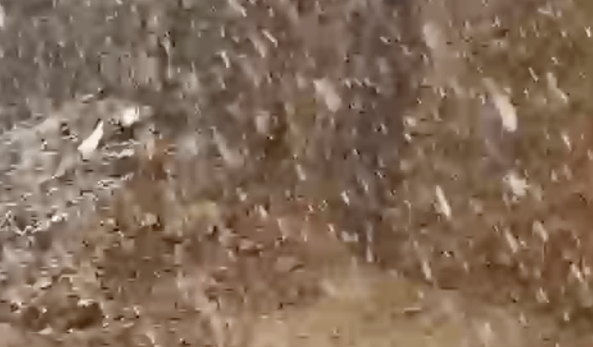 Bingöl'de sağanak sonrası yolda biriken çamur temizlendi