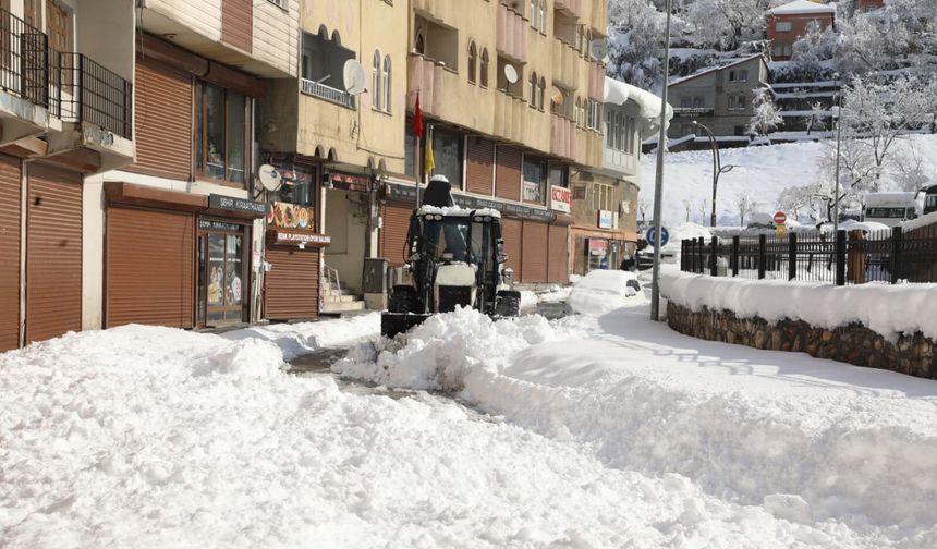 Bitlis'te kar durdu, temizlik çalışması başladı
