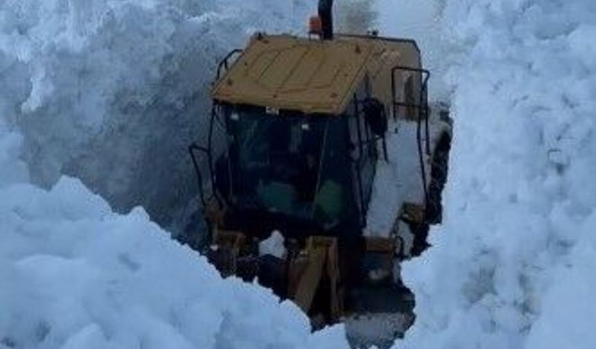 Bitlis'te köy yoluna çığ düştü