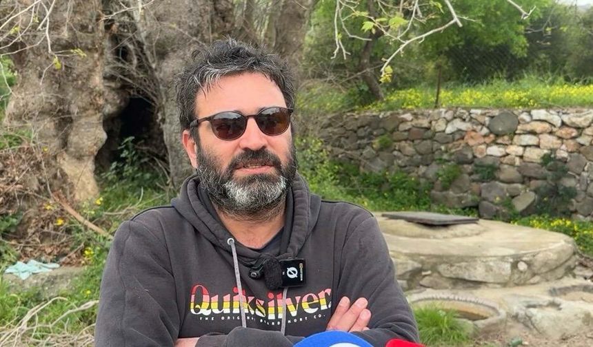 Bodrum'da 2 bin yıllık olduğu tahmin edilen çınar ağacı bulundu