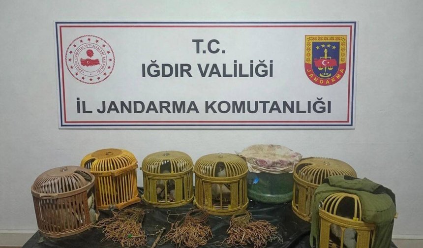 Kaçak keklik avcılarına 175 bin lira ceza