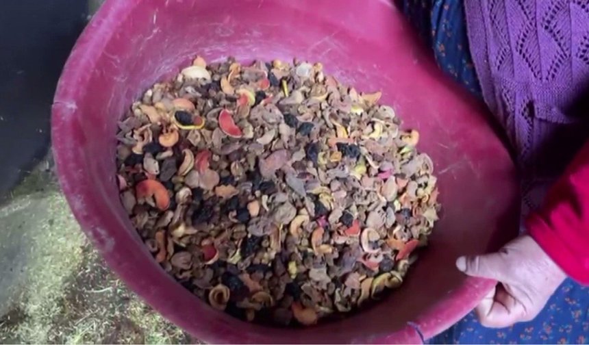 Menüsünde fındık ve pekmez olan boğalar kampta