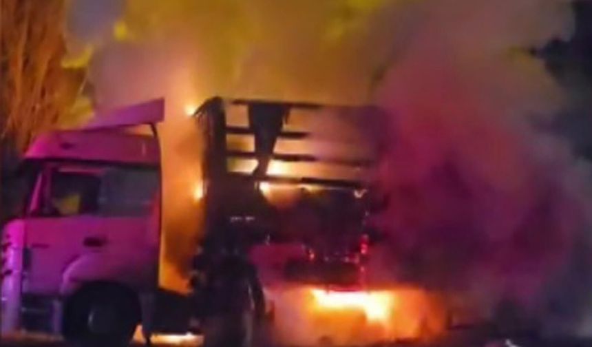 Pamuk yüklü TIR yandı