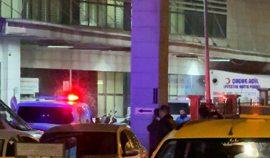 Siirt'te köy muhtarının uzun namlulu silahla vurduğu kişi öldü