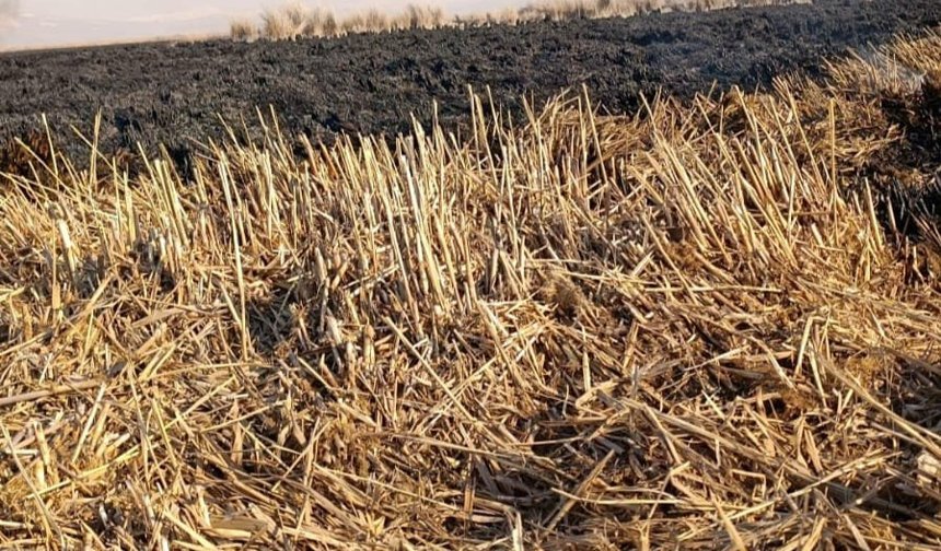 Sultan Sazlığı'ndaki yangın 4 günde söndürüldü