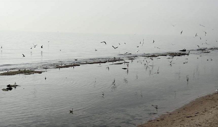 Tekirdağ'da deniz 7 metre çekildi; 'Kral Yolu' ortaya çıktı