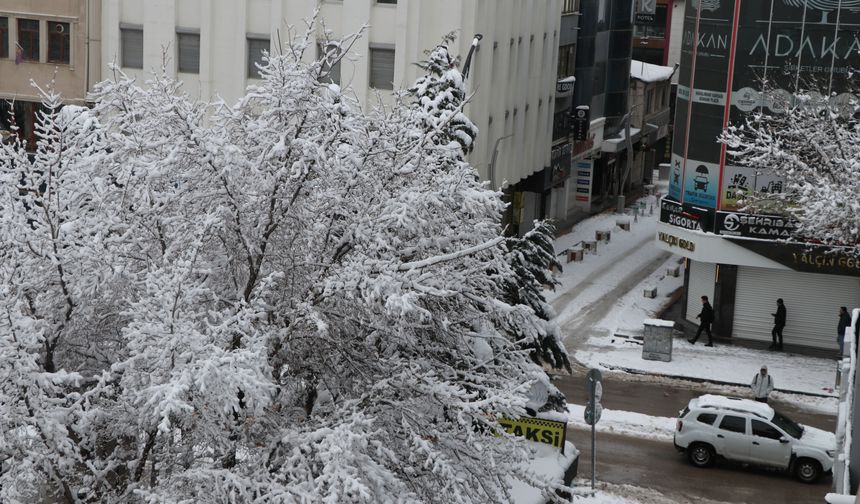 Van'da 216 mahalle ve mezra yolu ulaşıma kapandı