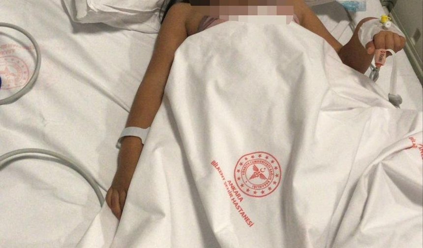 Ankara'da 2 kardeşi yaralayan pitbullun sahibinin annesi hakkında suç duyurusu kararı