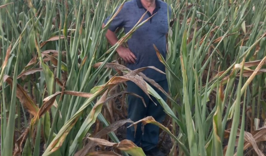 Devrilen traktörün sürücüsü öldü