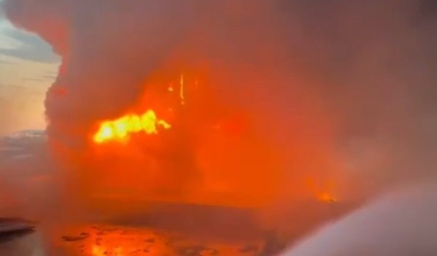 Edirne'de kereste fabrikasında yangın