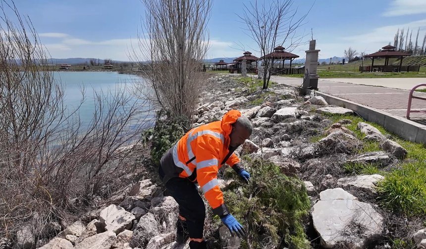 İlçeye ilk kez gelen 'elmabaşlar' için yuva çalışması