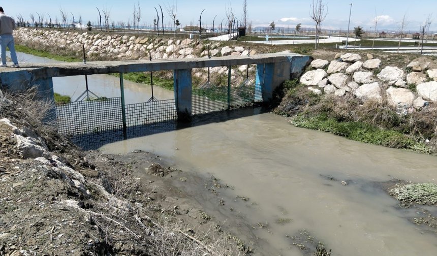 İnci kefalinin göç yolunda 2 ton atık temizlendi