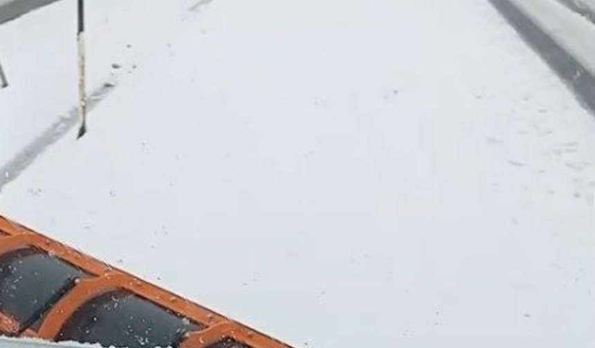 Karlıova'da kar yağışı (2)