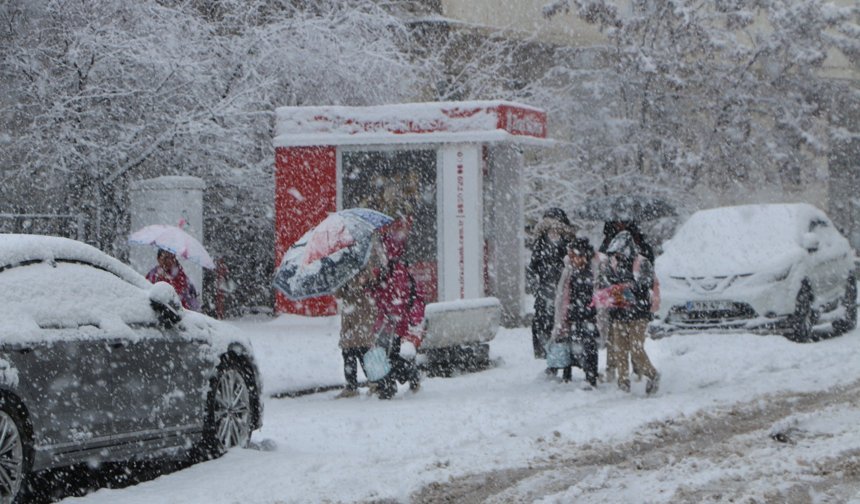 Karlıova'da kar yağışı