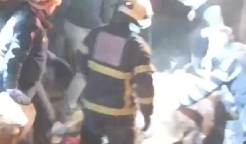 Kastamonu'da ahırın çatısı çöktü; 4 büyükbaş öldü