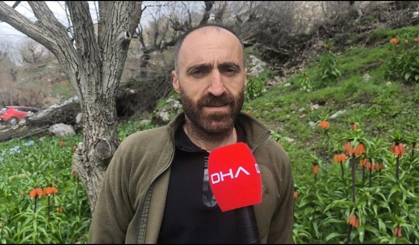 Koparmanın 700 bin lira cezasının olduğu 'ters lale' için Sason'a ziyaretçi akını