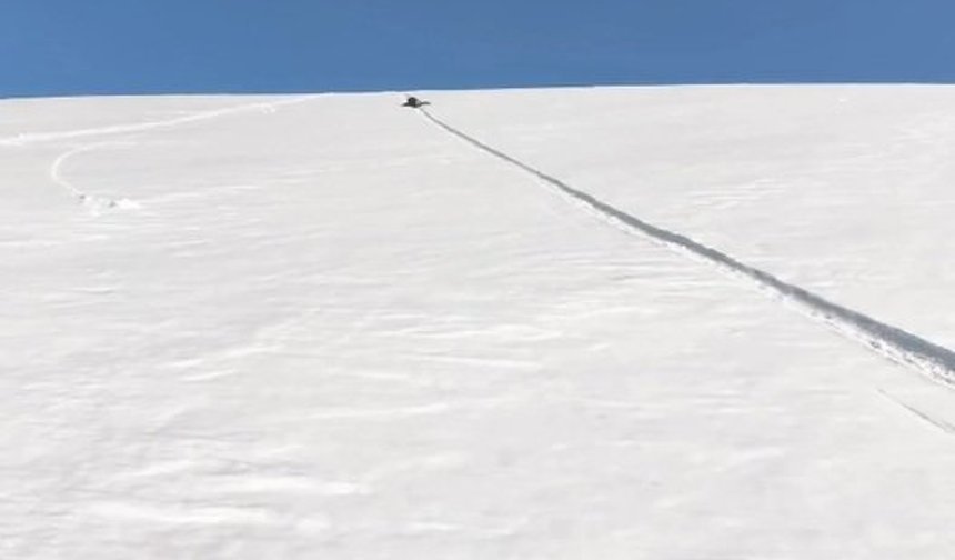 Kösedağ'ın zirvesinde nisan ayında 'poşetli' kayak