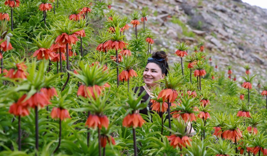 Muş'un zirveleri ters lalelerle renklendi