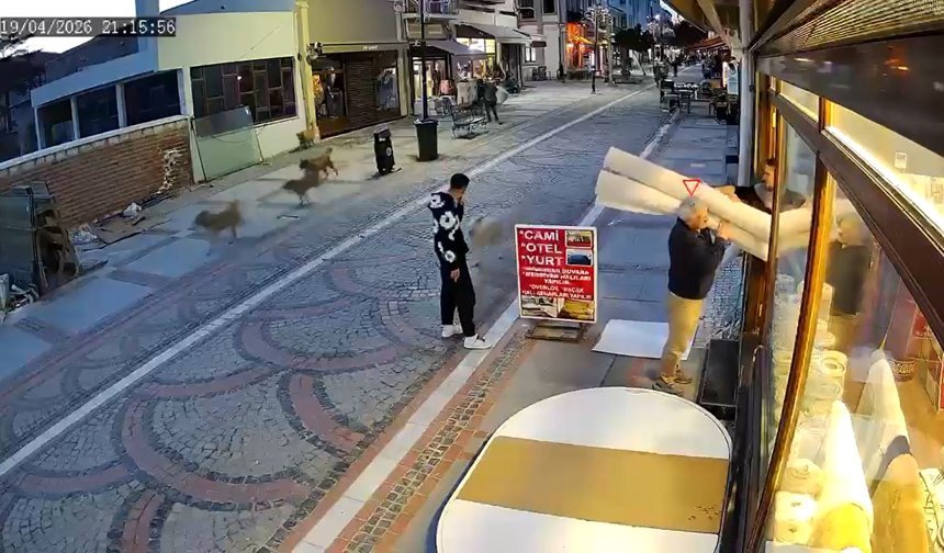 Sokak köpeğinin saldırısında yaralandı; o anlar kamerada