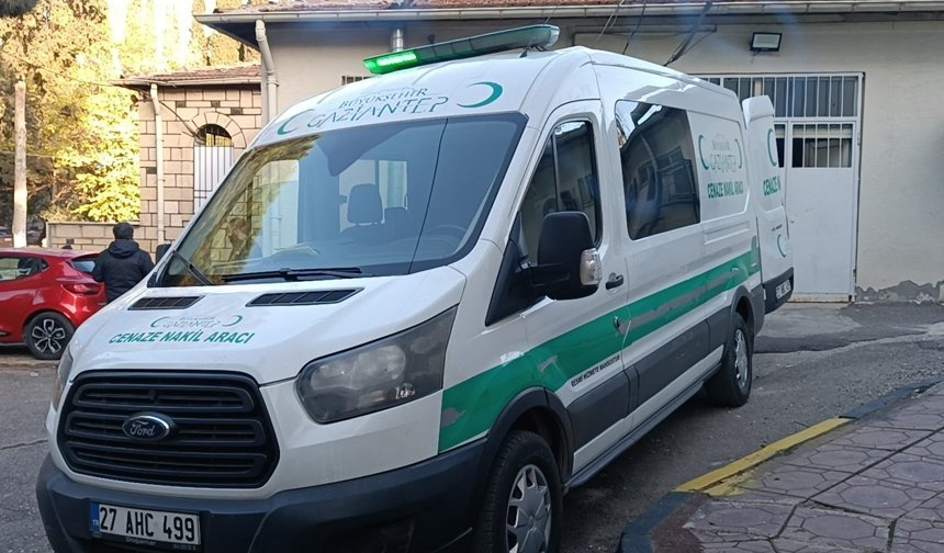 TIR'a arkadan çarpan otomobilin sürücüsü ve oğlu öldü