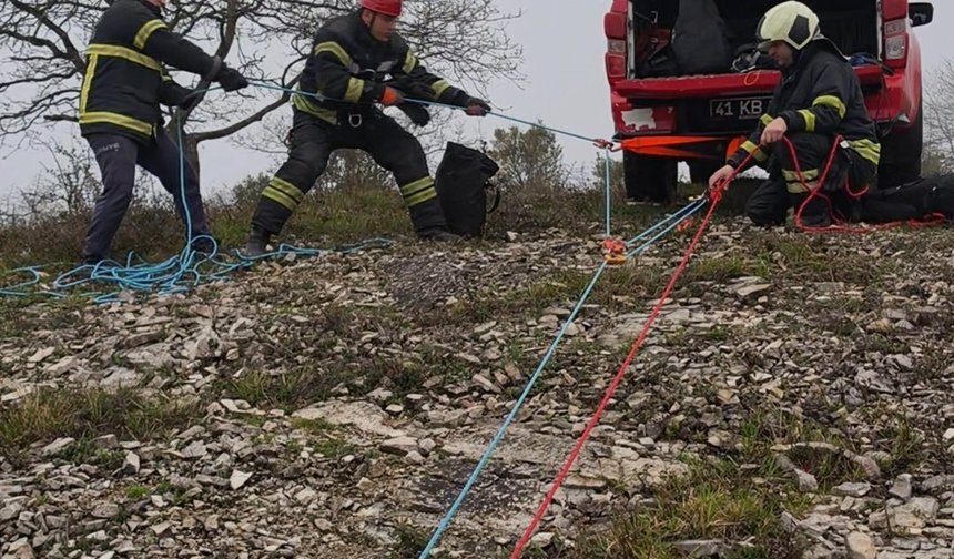 Yabani hayvandan korkup sarp kayalıkta mahsur kalan keçilere kurtarma operasyonu